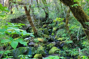 5510 Parducci Rd, Ukiah, CA 95482 - Photo 91