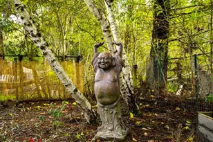 7671 Leland St, Sebastopol, CA 95472 - Photo 39