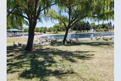 240 Park Place Drive, Petaluma, CA 94954 - Photo 39