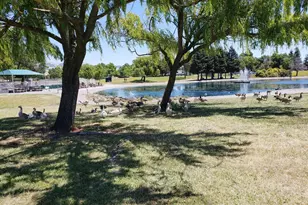 240 Park Pl Dr, Petaluma, CA 94954 - Photo 39