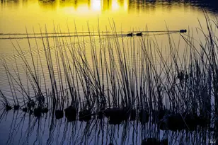 240 Park Pl Dr, Petaluma, CA 94954 - Photo 41