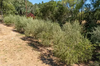 14856 Chalk Hill Road, Healdsburg, CA 95448 - Photo 57