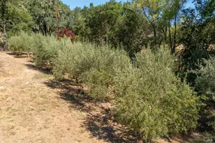 14856 Chalk Hill Rd, Healdsburg, CA 95448 - Photo 57