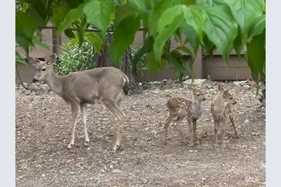 6749 Wintergreen Court, Santa Rosa, CA 95409 - Photo 29