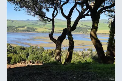 20 Redwood Avenue, Inverness, CA 94937 - Photo 11