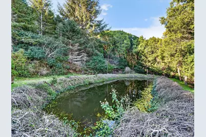 20 Redwood Avenue, Inverness, CA 94937 - Photo 9