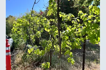 1005 Poplar Road, Vacaville, CA 95687 - Photo 15