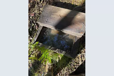 17001 Walker Lake Road, Willits, CA 95490 - Photo 31