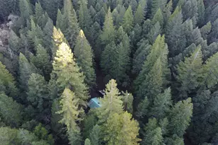 17001 Walker Lake Rd, Willits, CA 95490 - Photo 35