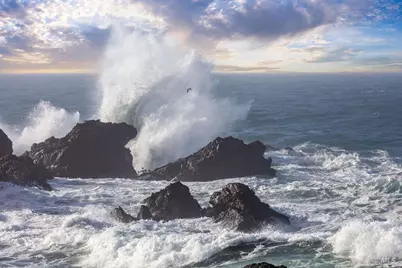 91 Wild Iris, The Sea Ranch, CA 95497 - Photo 25