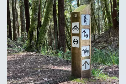 91 Wild Iris, The Sea Ranch, CA 95497 - Photo 29