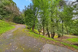 155 Forrest Ave, Fairfax, CA 94930 - Photo 13