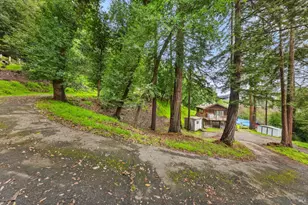 155 Forrest Ave, Fairfax, CA 94930 - Photo 11