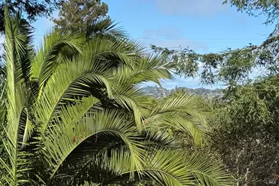 602 Chapman Drive, Corte Madera, CA 94925 - Photo 35