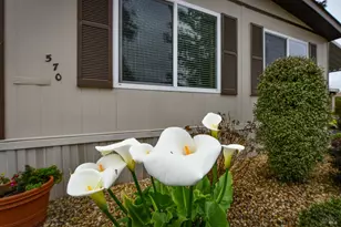 570 Sonoma Dr, Petaluma, CA 94954 - Photo 3