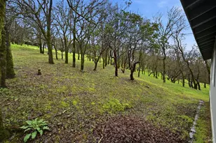 19474 Donkey Hill Rd, Hidden Valley Lake, CA 95467 - Photo 25