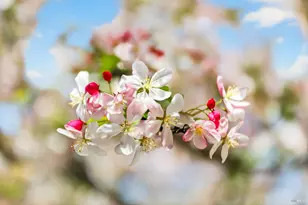 2543 Pinot Way, Saint Helena, CA 94574 - Photo 61