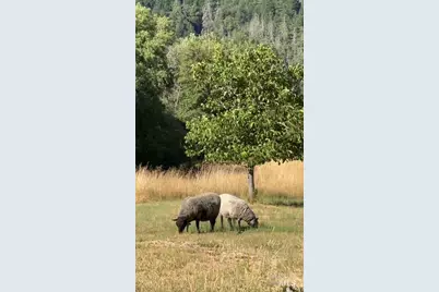 6651 Hearst Willits Road, Willits, CA 95490 - Photo 9