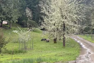 6651 Hearst Willits Rd, Willits, CA 95490 - Photo 7