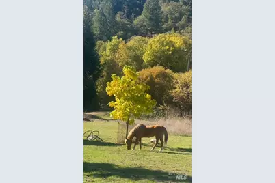 6651 Hearst Willits Road, Willits, CA 95490 - Photo 11