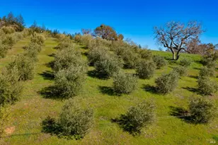 24000 Fig Tree Ln, Yorkville, CA 95494 - Photo 53