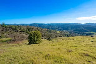 24000 Fig Tree Ln, Yorkville, CA 95494 - Photo 65