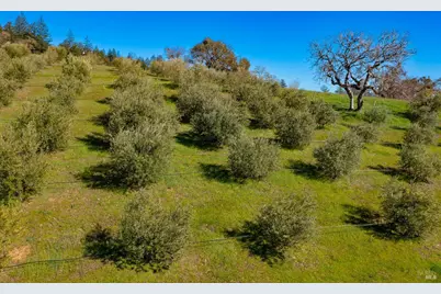 24000 Fig Tree Lane, Yorkville, CA 95494 - Photo 55