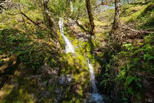 24000 Fig Tree Ln, Yorkville, CA 95494 - Photo 61