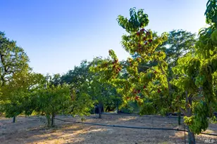 24000 Fig Tree Ln, Yorkville, CA 95494 - Photo 51