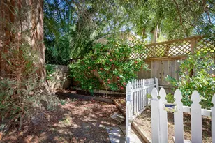 41 Meadow Ave, San Rafael, CA 94901 - Photo 53