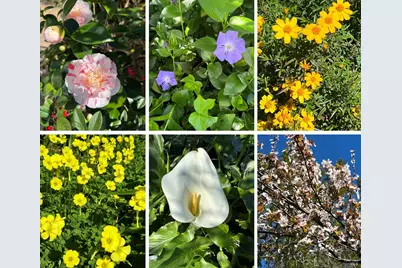 285 Cascade Drive, Fairfax, CA 94930 - Photo 41