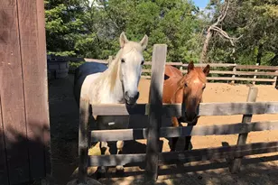 1411 Oak Knoll Rd, Ukiah, CA 95482 - Photo 31