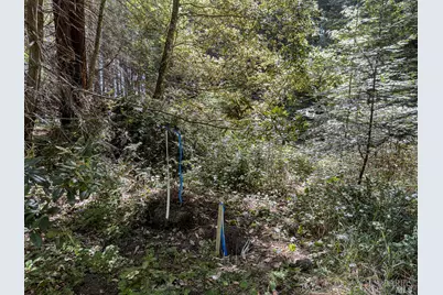 42180 Deer Trail, The Sea Ranch, CA 95497 - Photo 29