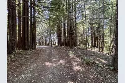 42180 Deer Trail, The Sea Ranch, CA 95497 - Photo 3