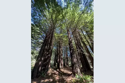 42180 Deer Trail, The Sea Ranch, CA 95497 - Photo 11