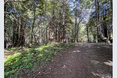 42180 Deer Trail, The Sea Ranch, CA 95497 - Photo 9