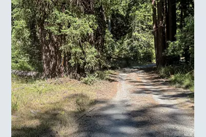 42180 Deer Trail, The Sea Ranch, CA 95497 - Photo 21