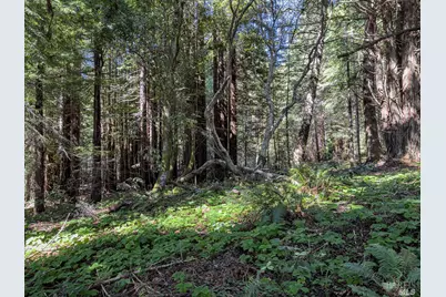 42180 Deer Trail, The Sea Ranch, CA 95497 - Photo 13