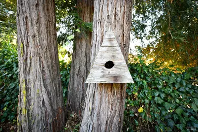 4022 Woolsey Road, Santa Rosa, CA 95401 - Photo 55