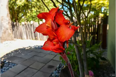 4022 Woolsey Road, Santa Rosa, CA 95401 - Photo 45