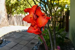 4022 Woolsey Rd, Santa Rosa, CA 95401 - Photo 45