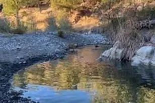 11950 N Eagle Rock Rd, Hopland, CA 95449 - Photo 1