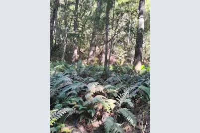 4100 Hansen Ranch Road, Piercy, CA 95587 - Photo 5