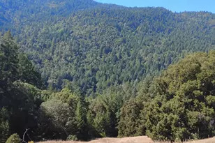 4100 Hansen Ranch Rd, Piercy, CA 95587 - Photo 1