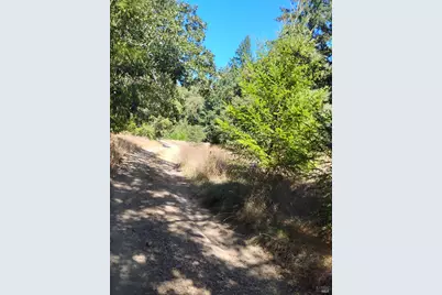 4100 Hansen Ranch Road, Piercy, CA 95587 - Photo 9