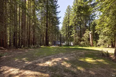 2264 Joy Ridge Road, Occidental, CA 95465 - Photo 71