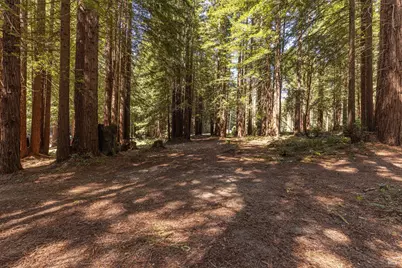 2264 Joy Ridge Road, Occidental, CA 95465 - Photo 73