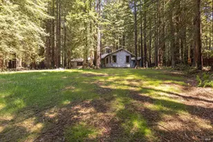 2264 Joy Ridge Rd, Occidental, CA 95465 - Photo 71