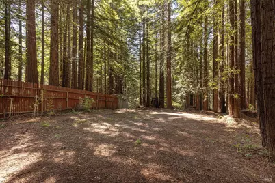 2264 Joy Ridge Road, Occidental, CA 95465 - Photo 69
