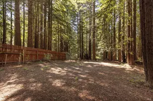 2264 Joy Ridge Rd, Occidental, CA 95465 - Photo 69